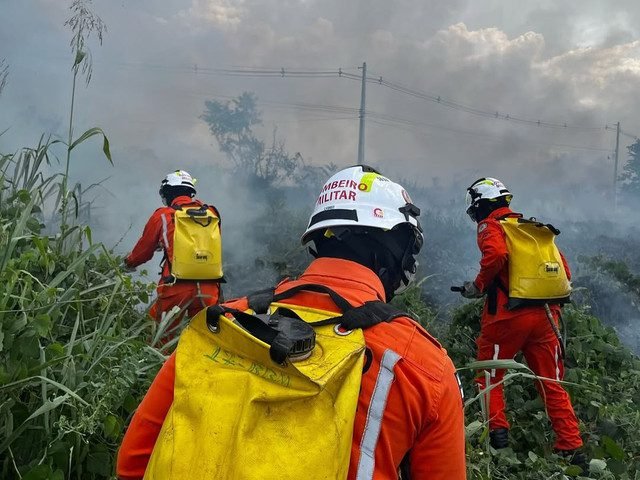 incendio13325anelviario3