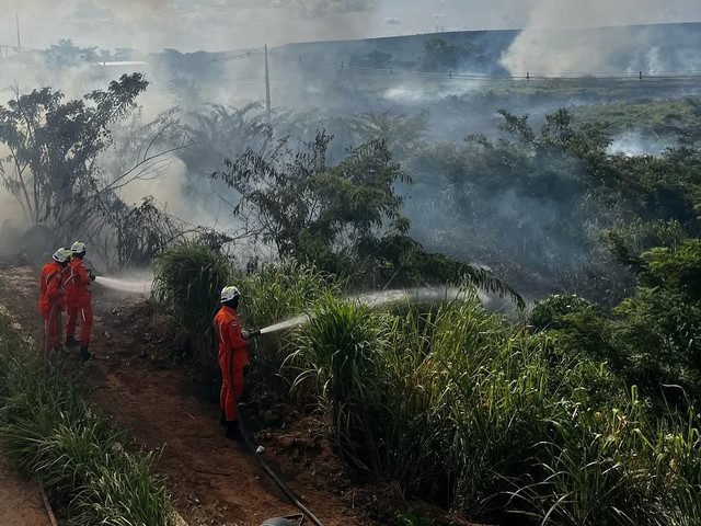 incendio13325anelviario5