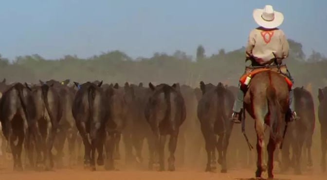 Fazenda Nova Piratininga localizada entre os estados de Goiás e Tocantins 