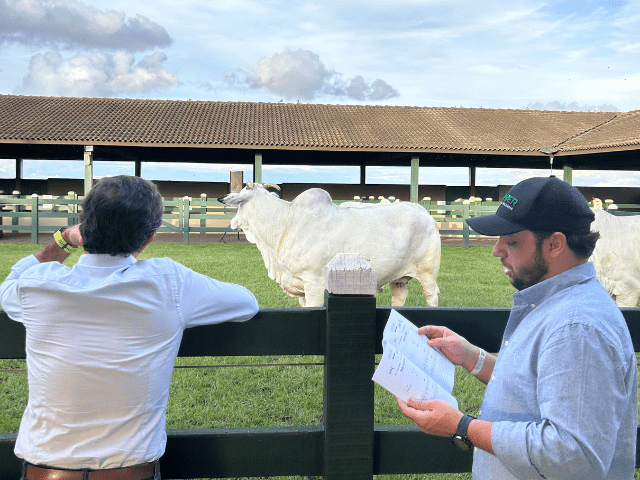 Assessoria pecuária e Guadalupe agropecuária - 90ª Expozebu - Imagem Larissa Bezerra 