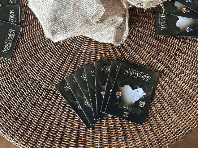 Catálogos de leilão - Imagem Larissa Bezerra 