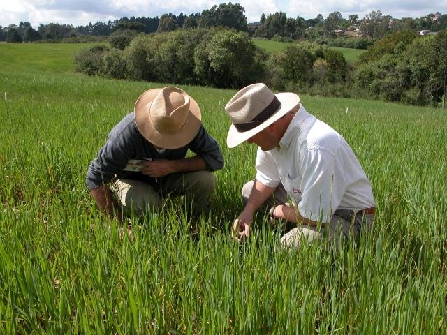 assistência técnica
