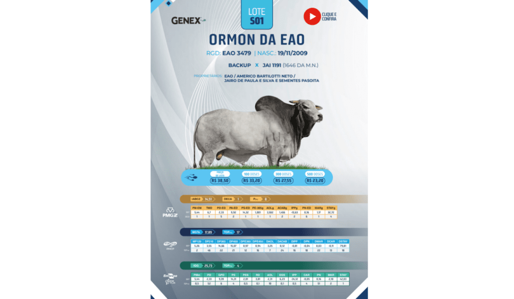 Exemplo de catálogo 12º Megaleilão EAO Baviera - Etapa Sêmen 