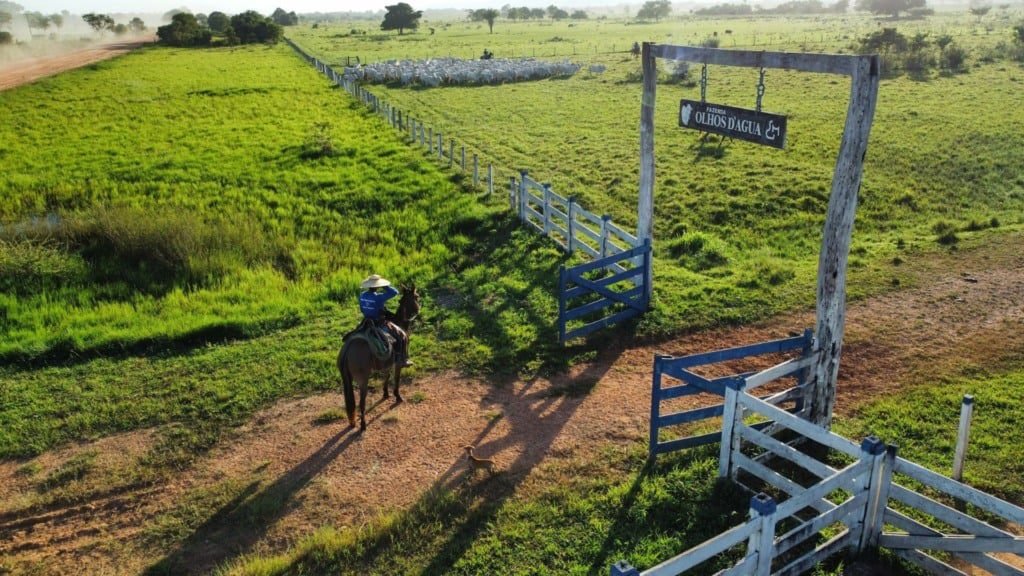 Foto: Acervo/Fazenda Olhos D'Água