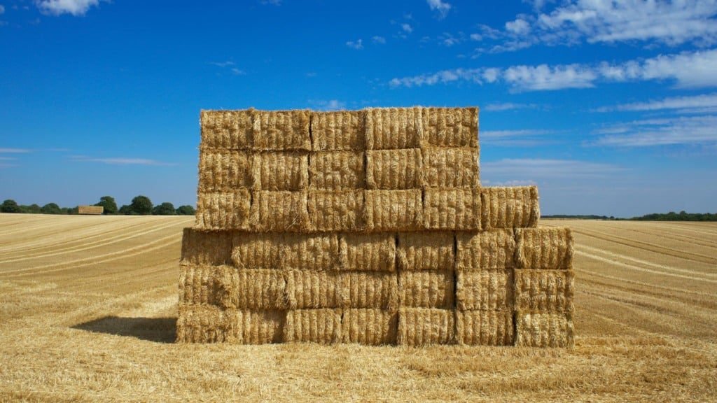Rolos de feno pela pastagem. Foto: Canva