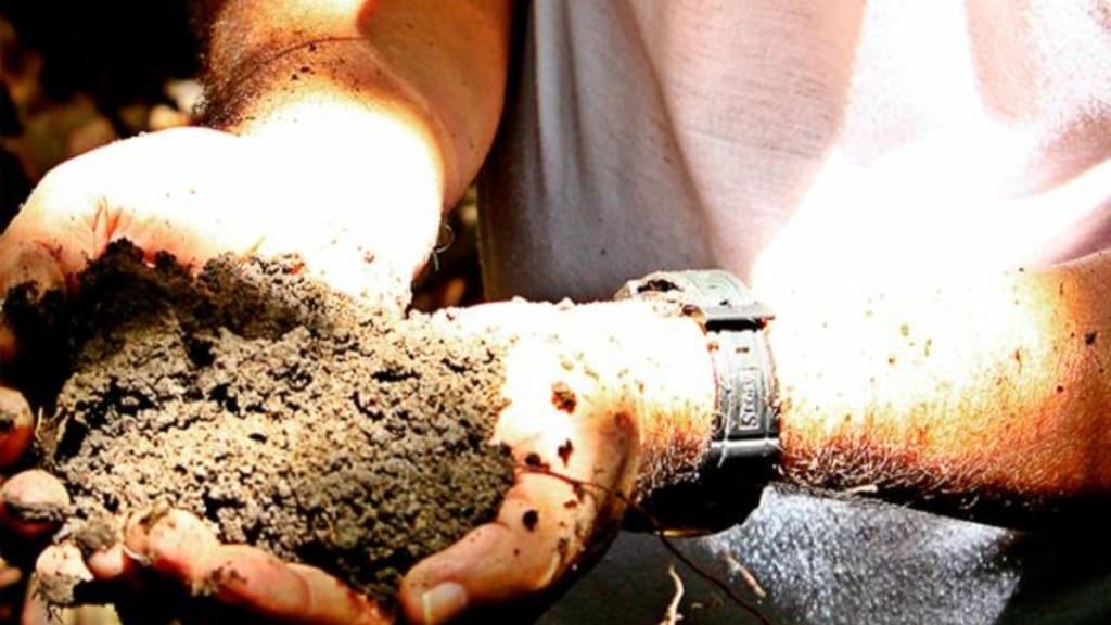 Detalhe de adubo com matéria orgânica. Foto: Divulgação