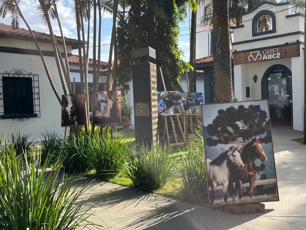 quadro de Guta Alonso na Expogenética 2025