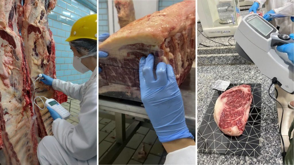 Cortes de carne de bovinos da raça Wagyu. Foto: Divulgação