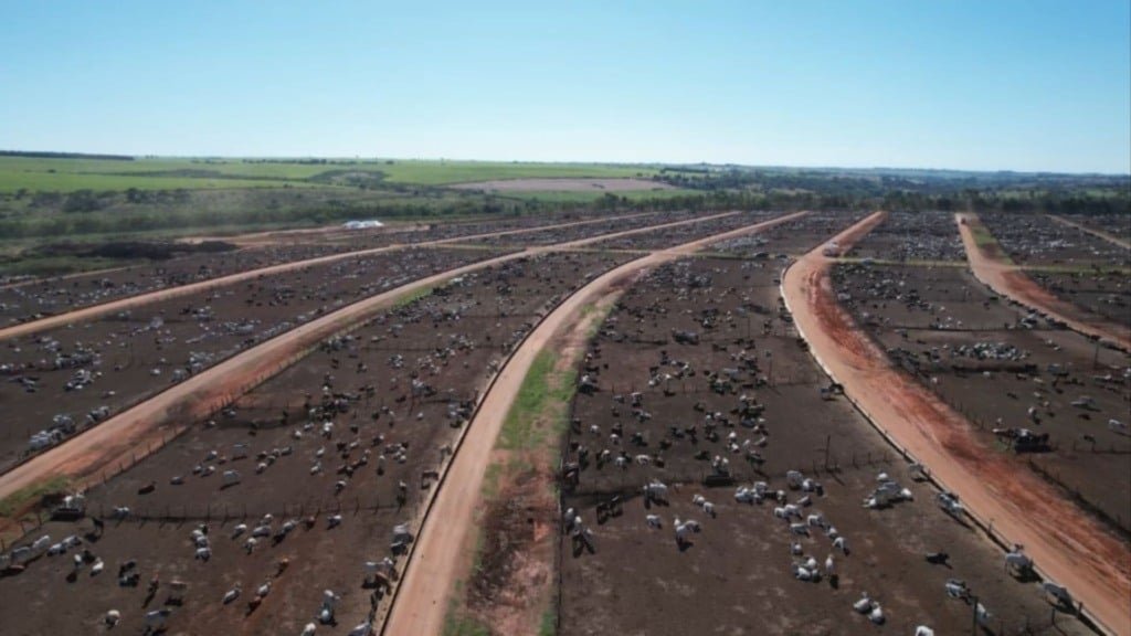 Confinamento de bovinos de corte da JBS em Guaiçara (SP). Foto: Reprodução/Giro do Boi