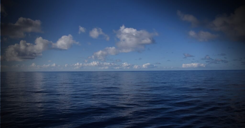 Oceano precisa estar no centro da agenda sustentável, ao lado das florestas e da biodiversidade