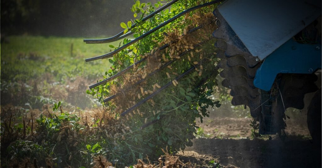 Lei do licenciamento, celebrada pelo agronegócio, retira proteção especial da Mata Atlântica e acelera licenciamento para obras estratégicas