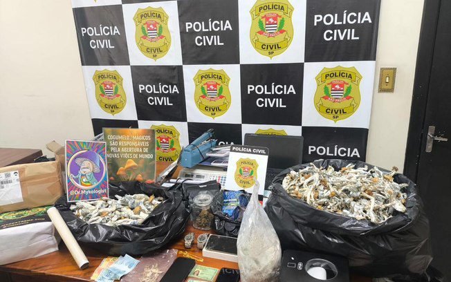Vídeo: Polícia apreende plantação de cogumelo no litoral de SP