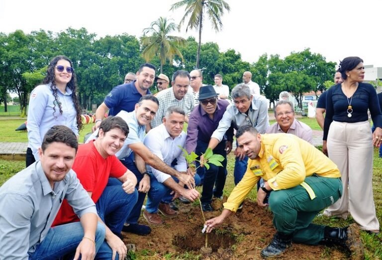 Parceria entre Prefeitura, Governo do Estado e sociedade civil impulsiona plantio de mudas nativas em Barreiras