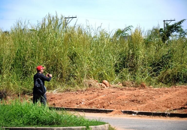 Prefeitura de Barreiras intensifica fiscalização de terrenos e lotes sujos e já emitiu mais de 250 notificações em 2026
