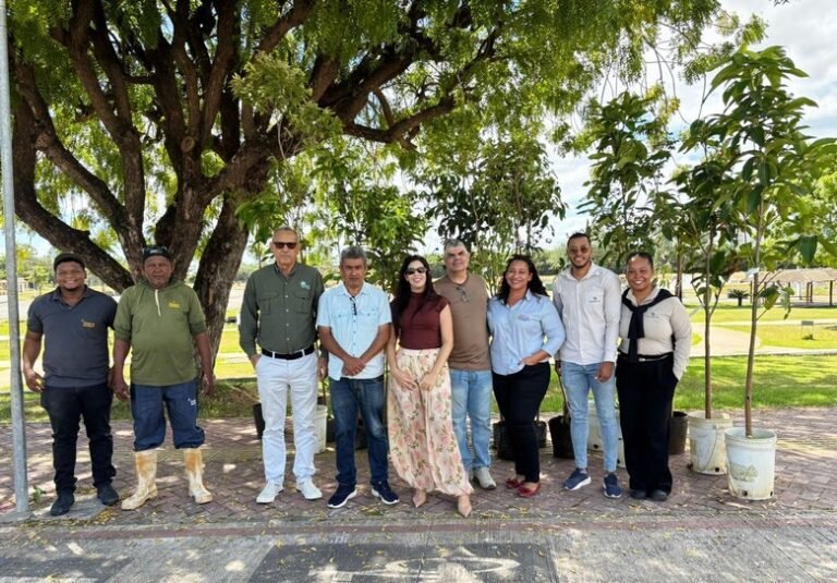 Parque Natural Engenheiro Geraldo Rocha avança na arborização com novo plantio de mudas nativas