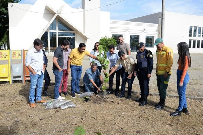 Prefeitura inicia revitalização da Praça São Bento como parte da programação dos 135 anos de Barreiras