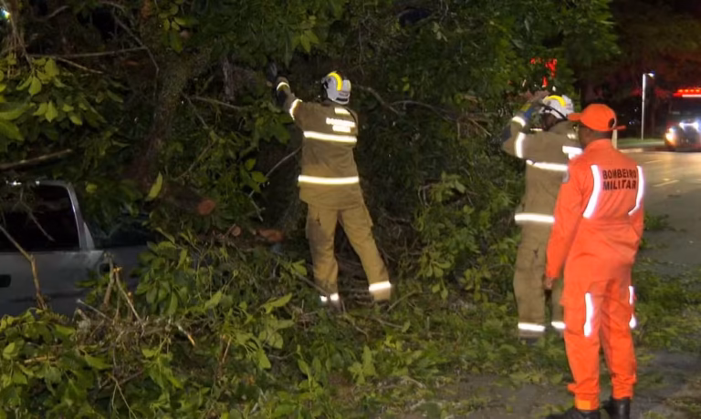 Queda de árvore interdita trecho de pista ao lado do Dique do Tororó e deixa feridos em Salvador