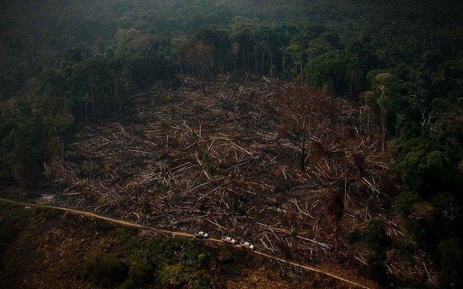 Brasil reduz o desmatamento; desafio agora é manter os avanços