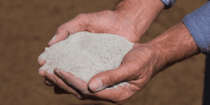 Risco de falta de sal mineral preocupa pecuaristas brasileiros