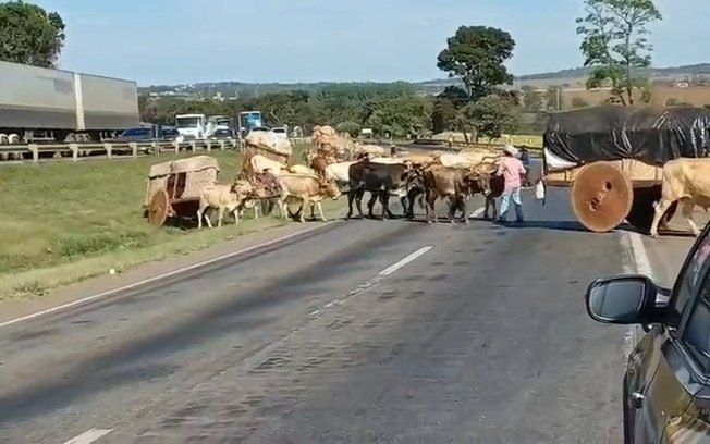 Carros de boi cruzam a BR-153 rumo à Romaria do Divino Pai Eterno