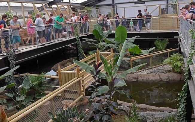Menino de 3 anos é jogado em recinto de crocodilos de zoológico