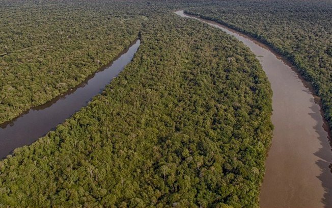 Como os indígenas reinventam a transição energética na Amazônia