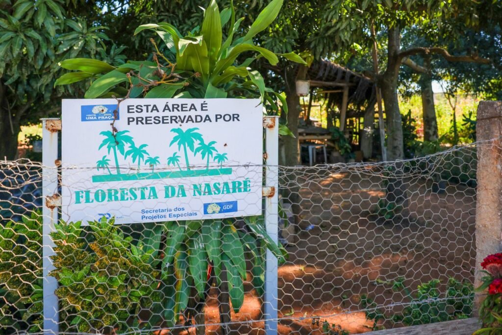 Em 2023, o projeto da agrofloesta foi reconhecido formalmente pelo governo do Distrito Federal, 14 anos após o início do projeto
