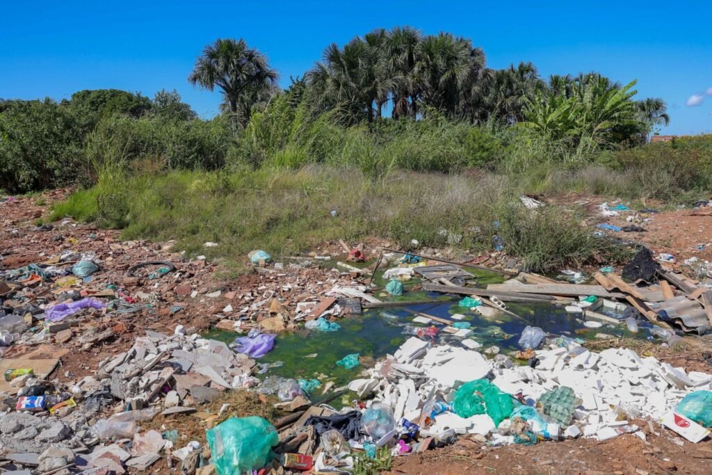 Lixo espalhado por uma das poucas áreas verdes de Sol Nascente, o Parque da Lagoinha. A presença de palmeiras como buritis indica abundância de água subterrânea, mas a área vem sendo poluída constantemente