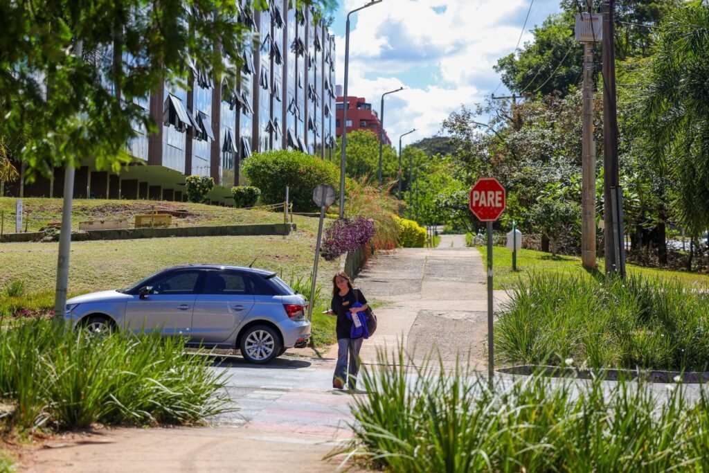 Já a área do Plano Piloto, no centro de Brasília, tem grandes parques e ruas arborizadas