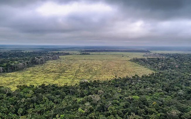 Desmatamento na Amazônia cai 36,87% no último ano