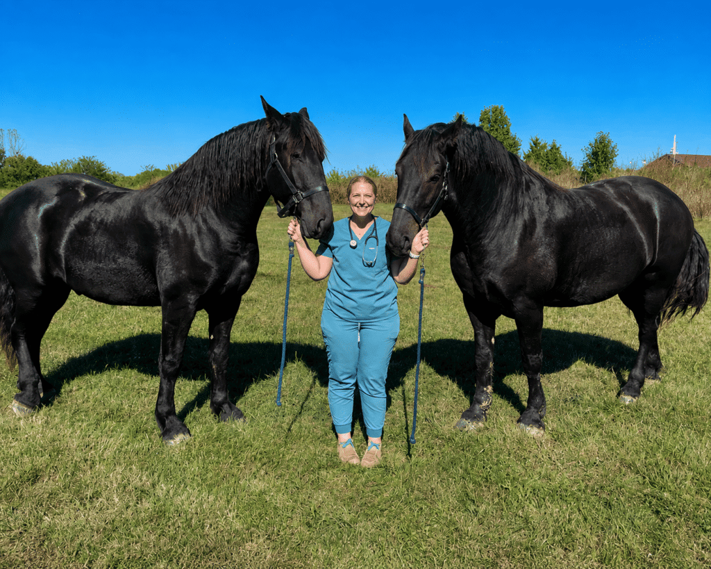 Médica veterinária com cavalos