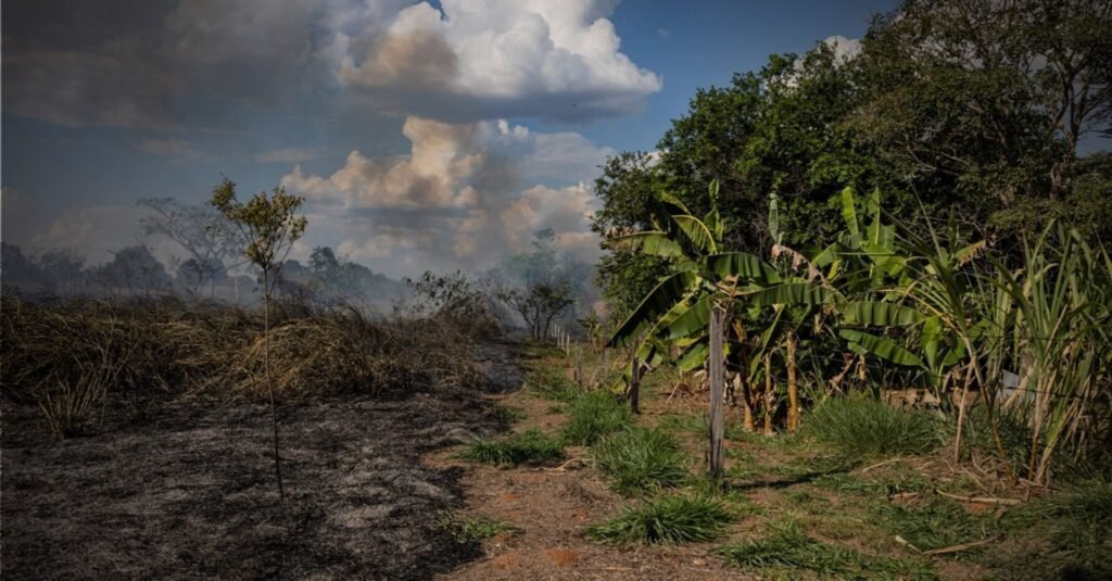 Floresta queimada no Acre, um dos epicentros do desmatamento na Amazônia