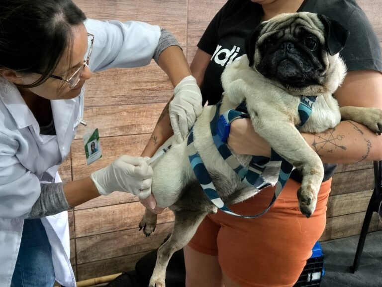 Prefeitura de Serrinha amplia vacinação antirrábica canina para zona rural