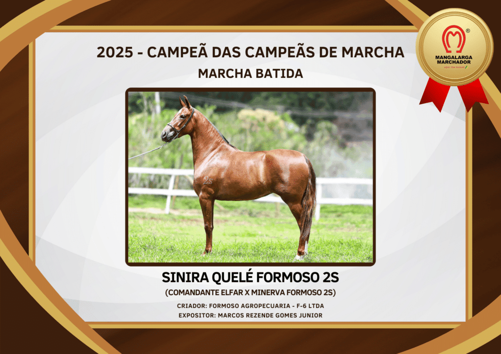 Sinira Quelé Formoso 2S, campeã das campeãs de marcha batida do Mangalarga Marchador em 2025