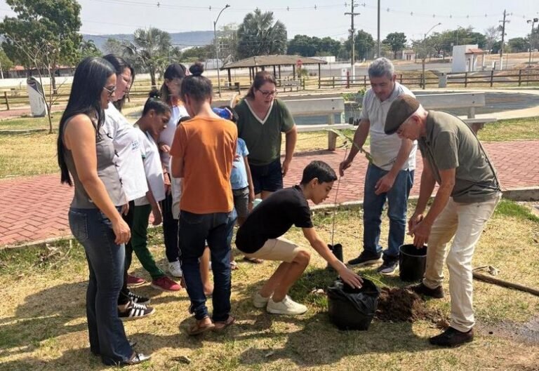 Em comemoração pelo dia da árvore, Parque Natural de Barreiras recebe plantio de mudas nativas em ação com alunos da APAE