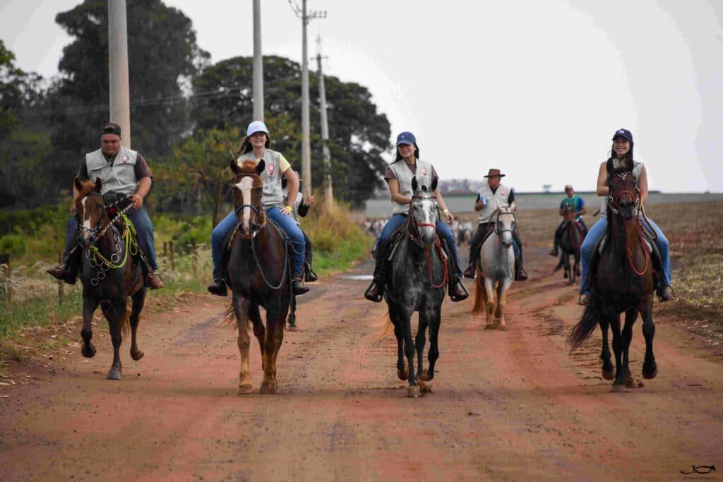 Cavaleiros montados em cavalos Mangalarga Marchador durante cavalgada por estrada rural no Brasil.