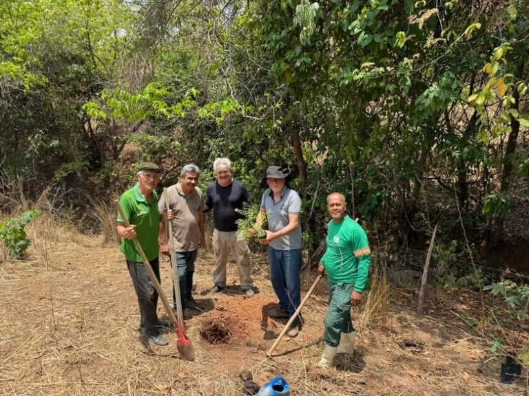 Secretaria de Meio Ambiente e Sustentabilidade recupera mais uma nascente em Barreiras