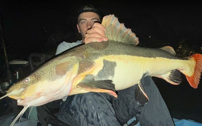 Pescador bate recorde brasileiro ao fisgar pirarara de 91 cm