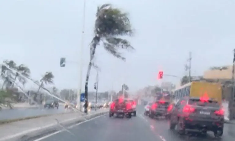 Inmet emite alerta amarelo para vendaval em cidades do sul e extremo sul da Bahia; confira previsão do tempo